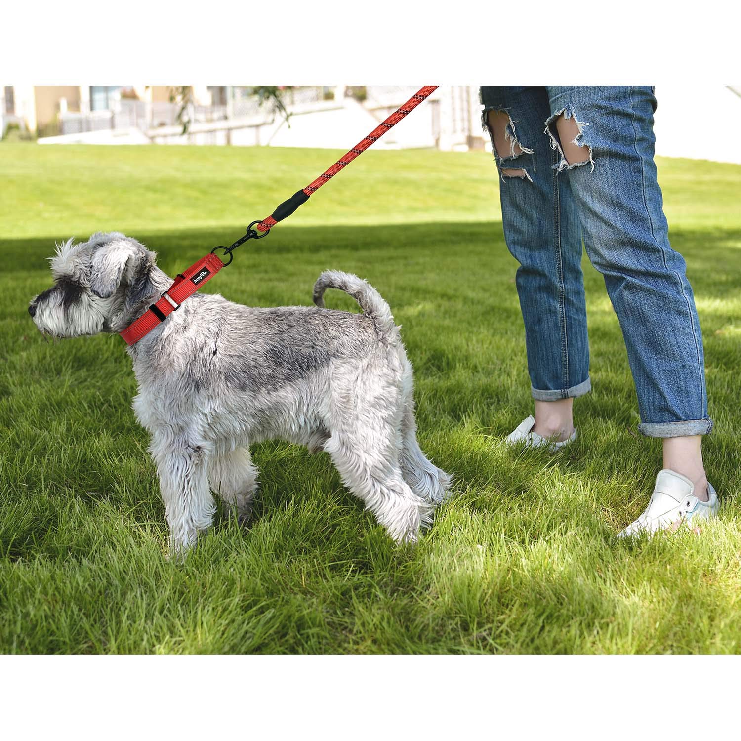 haapaw martingale collar size adjustment for a comfortable, secure fit.