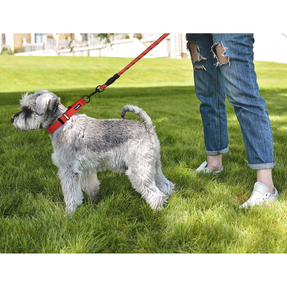 haapaw martingale collar size adjustment for a comfortable, secure fit.