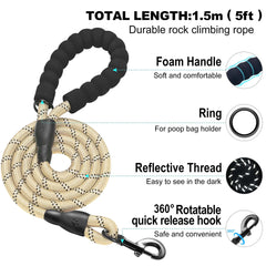 haapaw safety buckle and double D-ring secure leash attachment during play