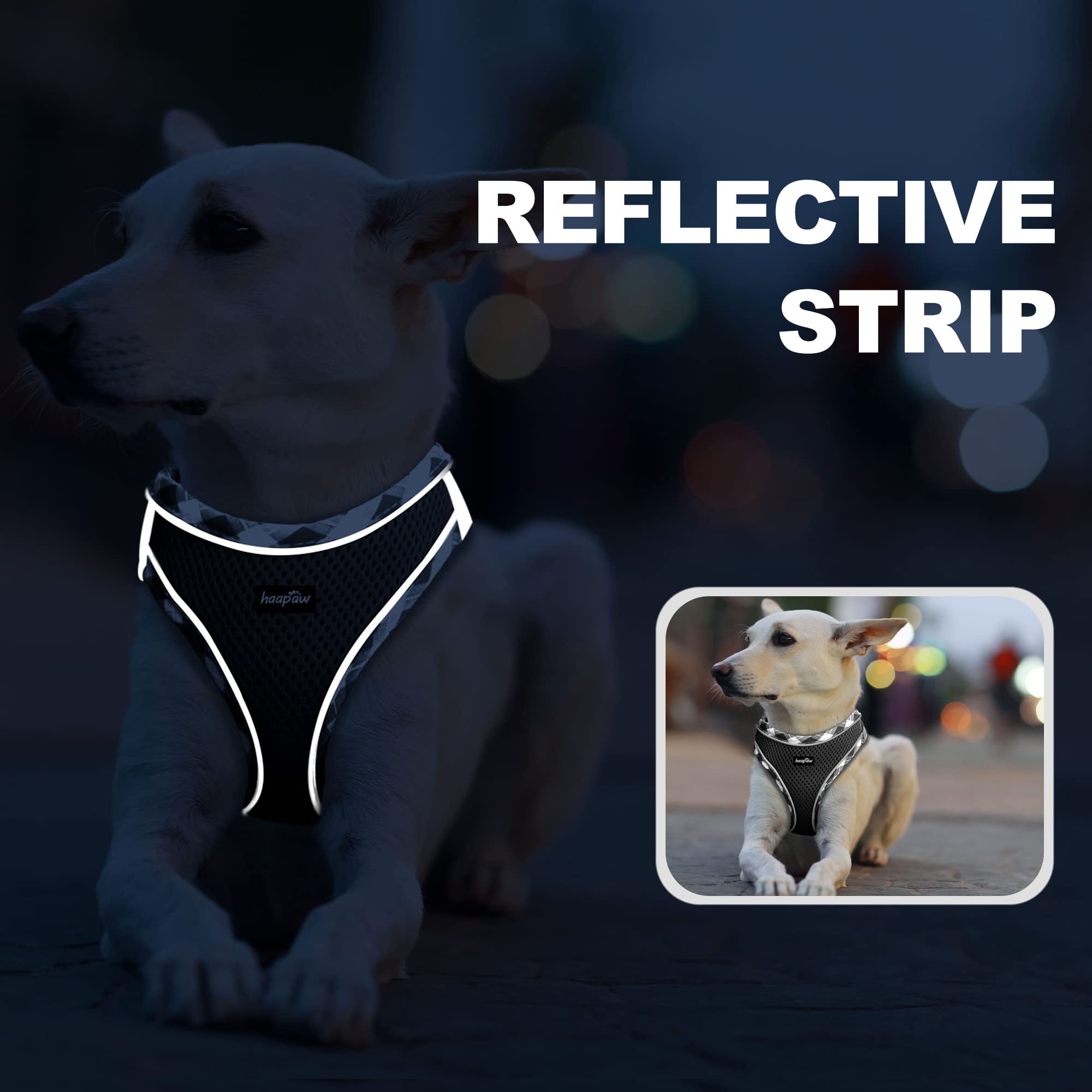 haapaw step-in design offers easy on/off for quick daily walks.