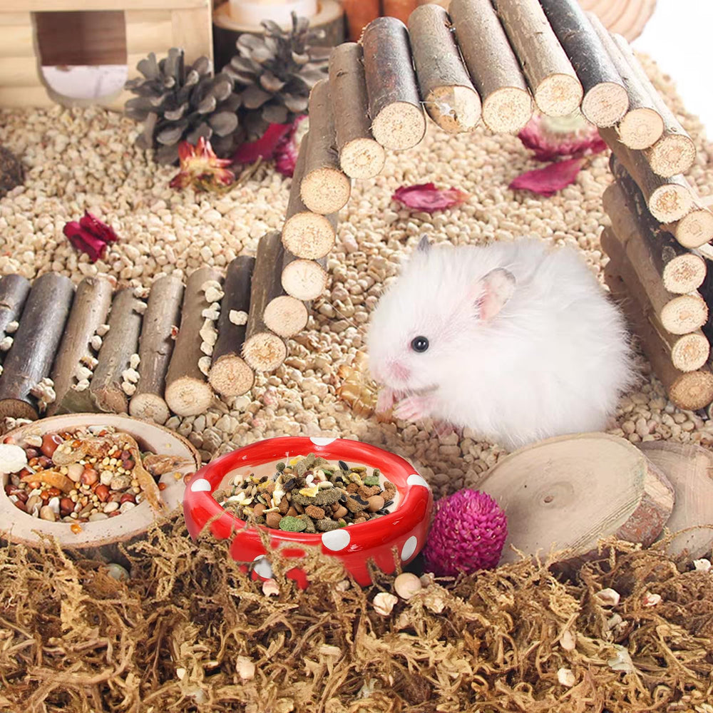 Hacaroa-cute-mushroom-design adds color and enrichment to any enclosure.
