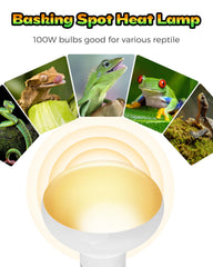 Haceryc reptile heat lamp basking area image shows inviting warm spot for daily activity