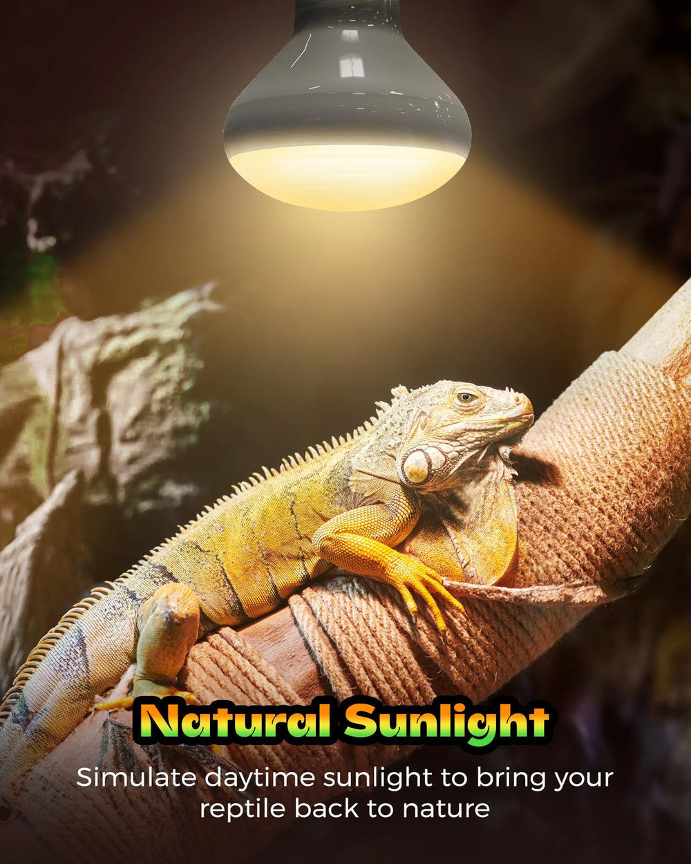 Haceryc reptile heat lamp glass-filament close-up highlights durable build for steady heat