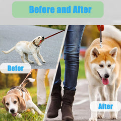 HAESINPA humane design with rubber covered tips for gentle reminders during training