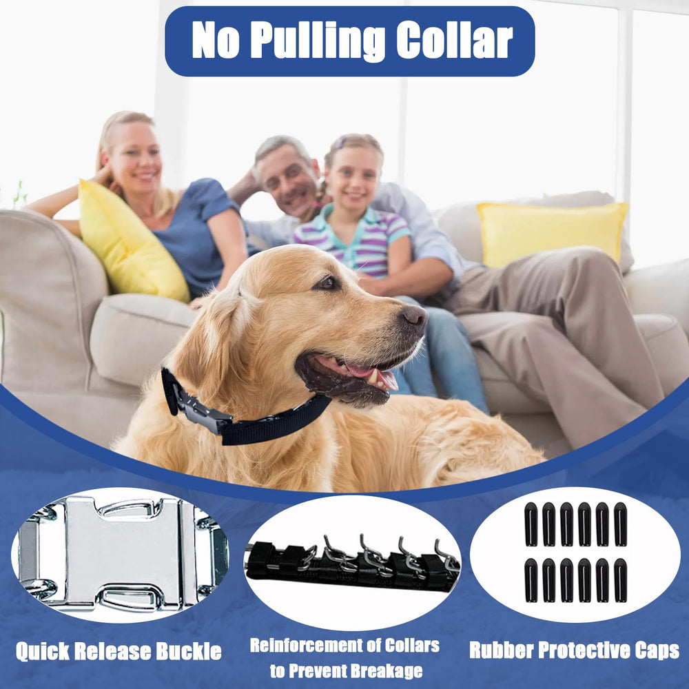 HAESINPA prong collar featuring soft rubber caps for added neck comfort.