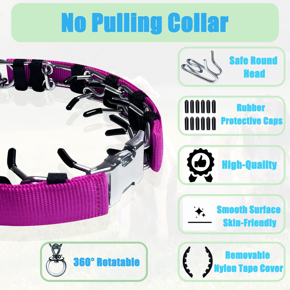 HAESINPA Prong Training Collar durable construction supports daily training sessions