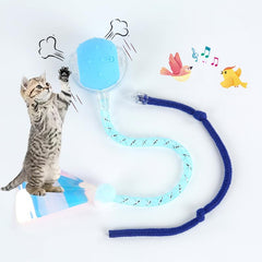 Hahbabya Interactive Cat Ball top view invites indoor play and curiosity.