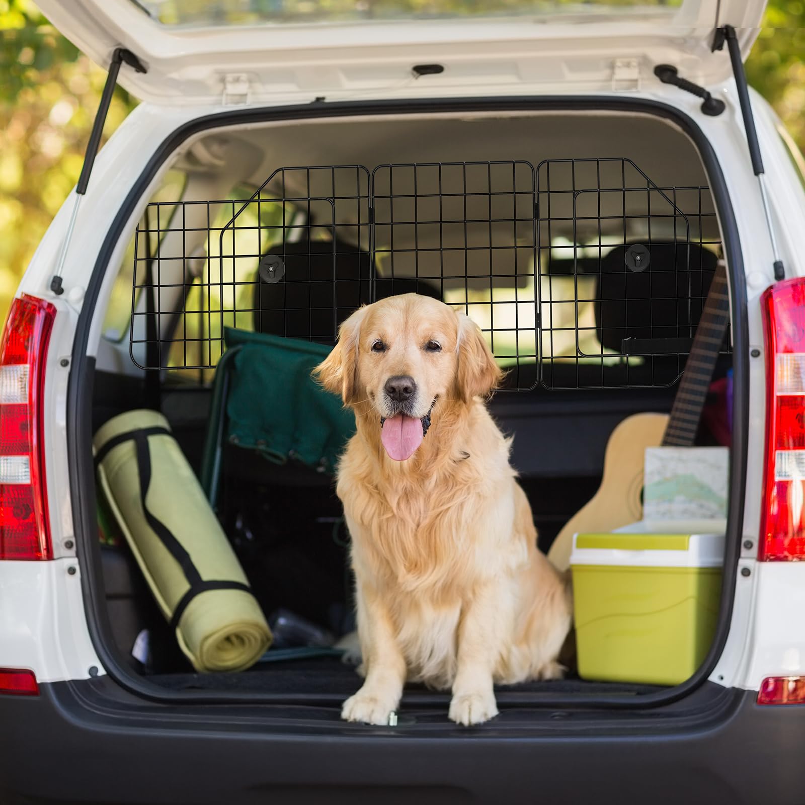 HAITRAL grid-view design preserves rear visibility while containing pet