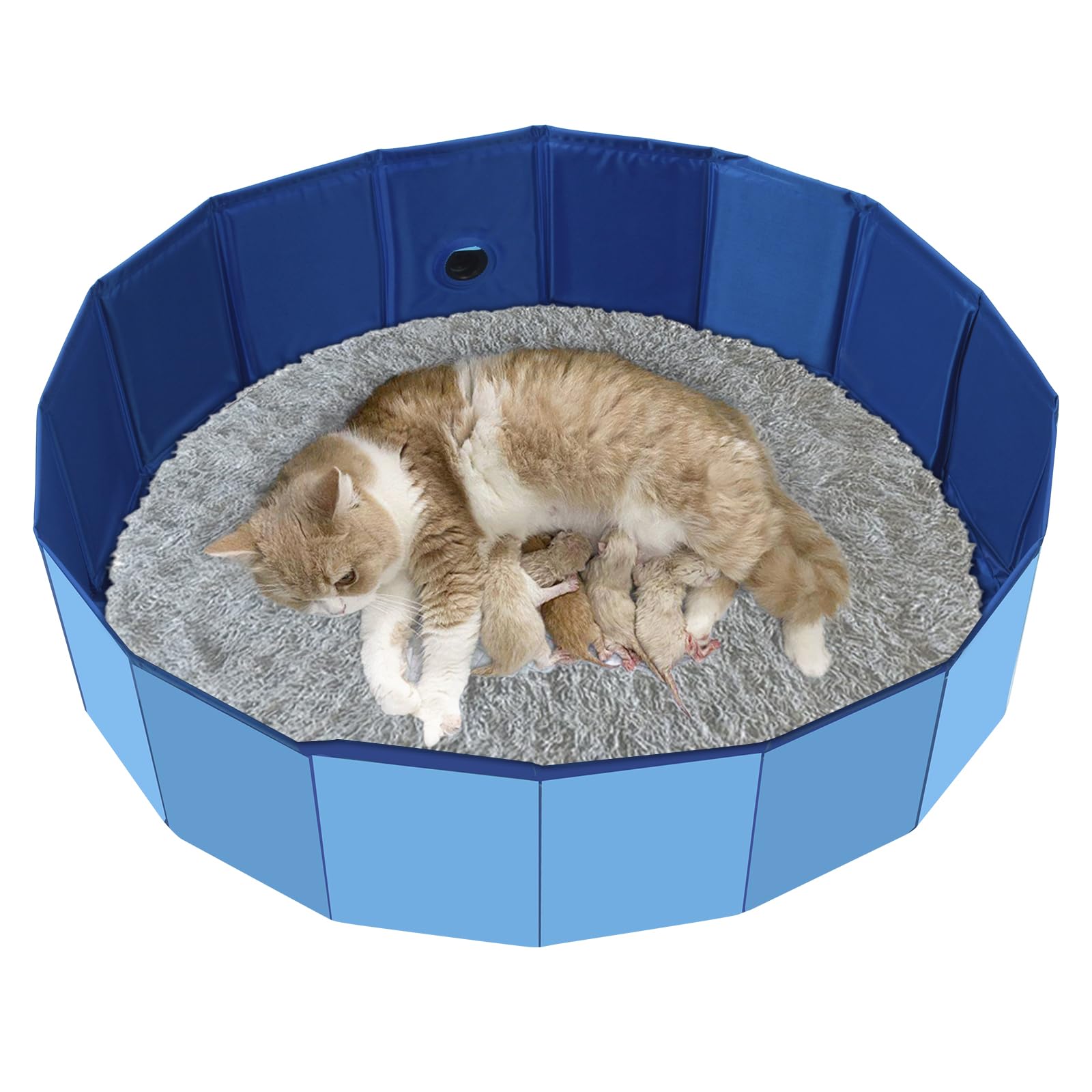 HALAGAS cat birthing box foldable blue for easy storage and calm nesting