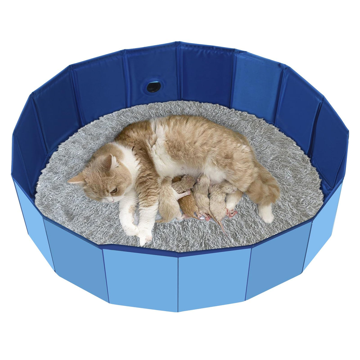 HALAGAS cat birthing box foldable blue for easy storage and calm nesting