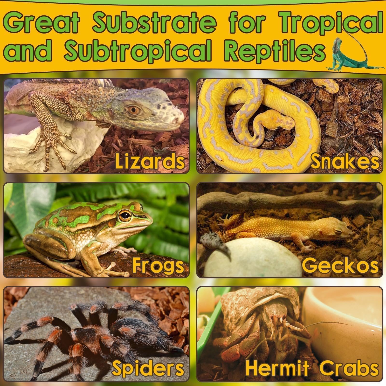 Halatool ball python substrate provides natural burrowing surface.
