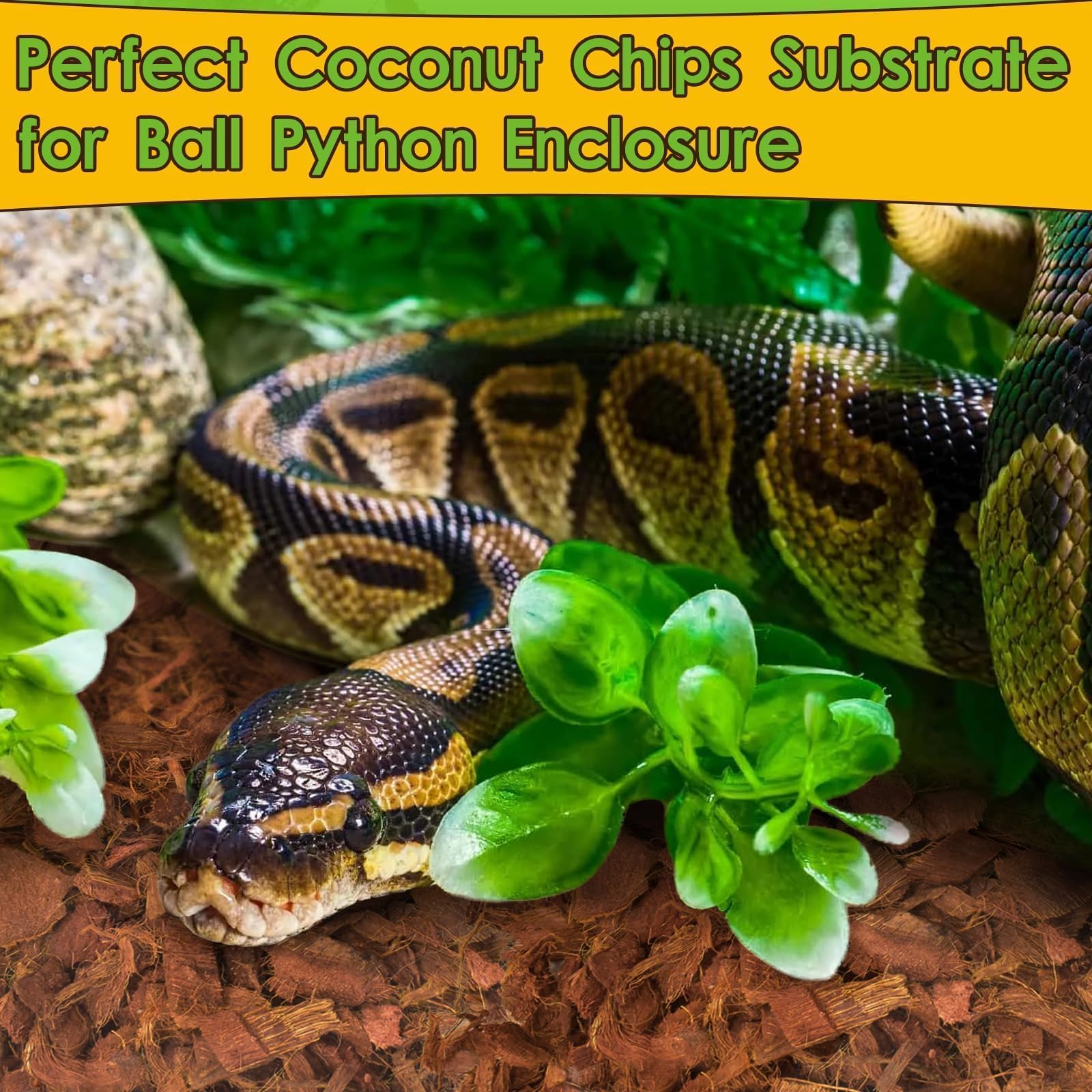 Halatool gecko and frog habitats benefit from sustainable coconut husk.