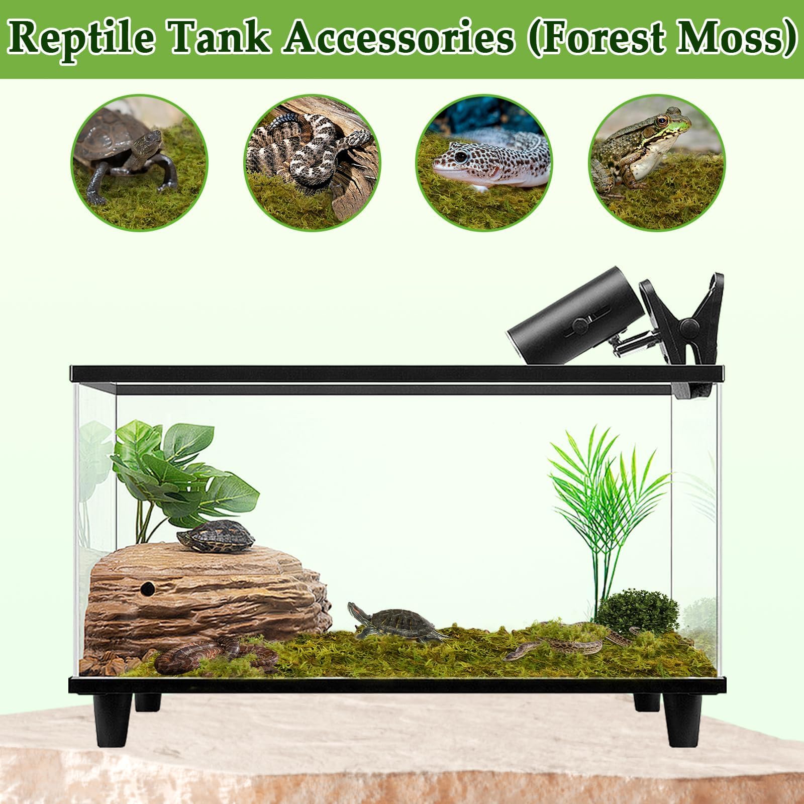 Halatool moss provides moisture for indoor plants and greenery.
