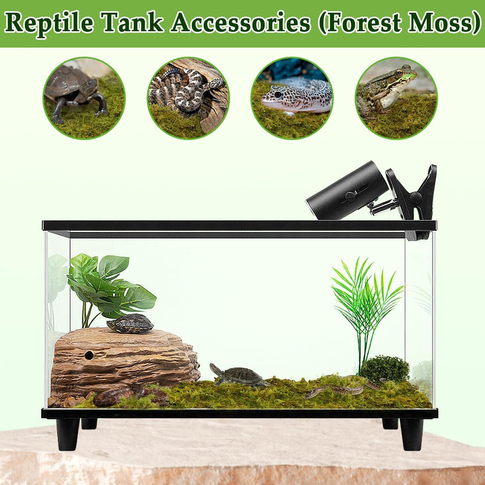 Halatool moss provides moisture for indoor plants and greenery.