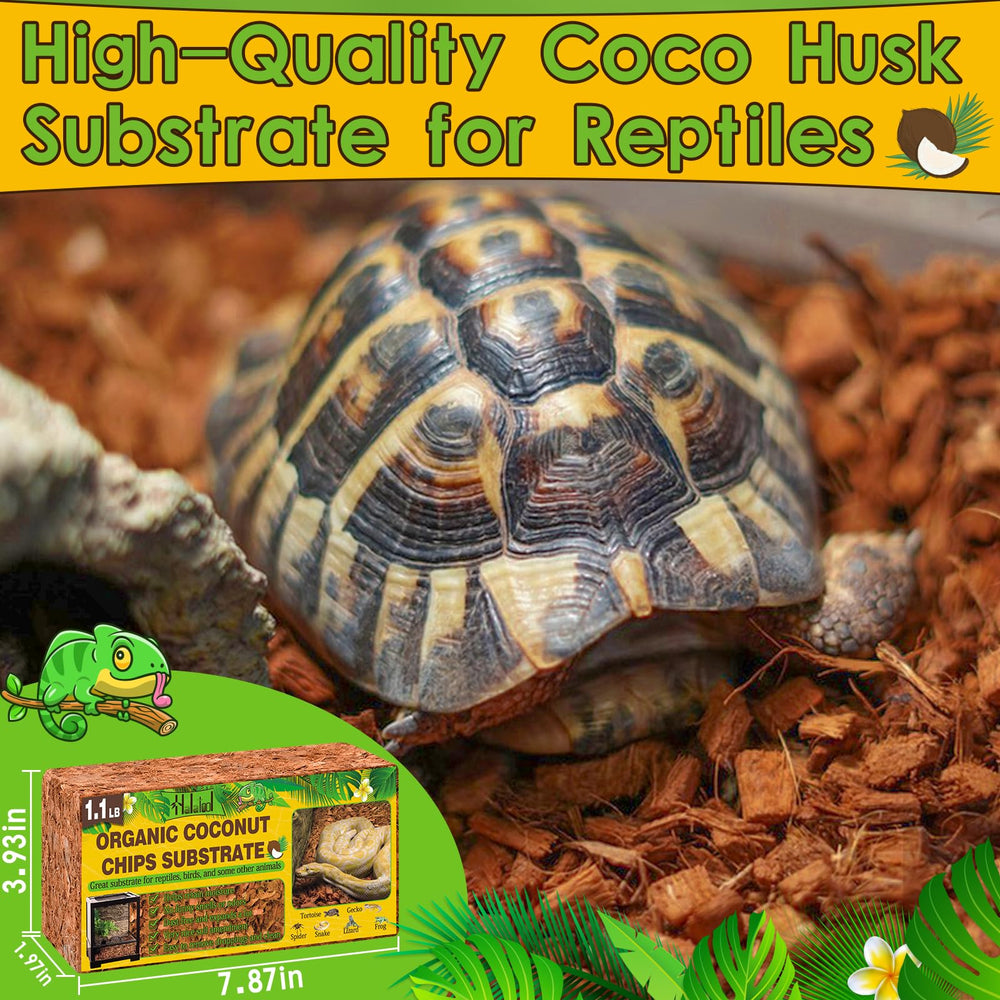 Halatool natural coconut husk substrate offers a safe, odor-free base.