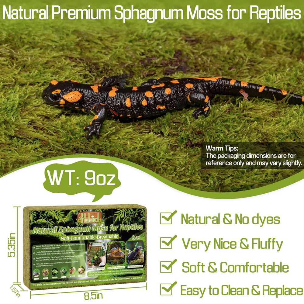 Halatool natural sphagnum moss expanding in terrarium, boosting humidity for enclosure comfort.
