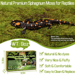 Halatool natural sphagnum moss expanding in terrarium, boosting humidity for enclosure comfort.
