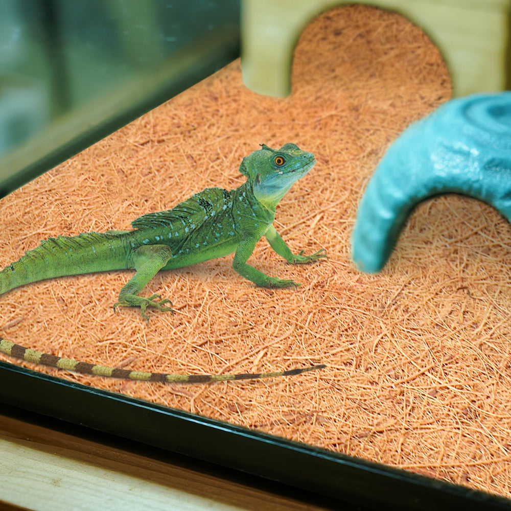 Halatool reptile carpet is easy to clean and folds for storage.
