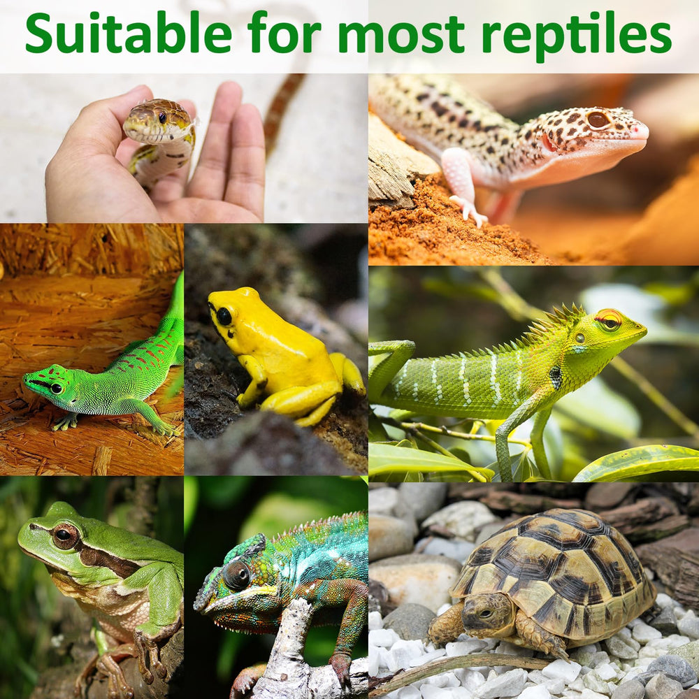 Halatool reptile carpet two mats stacked illustrates versatile usage as liner or decor.