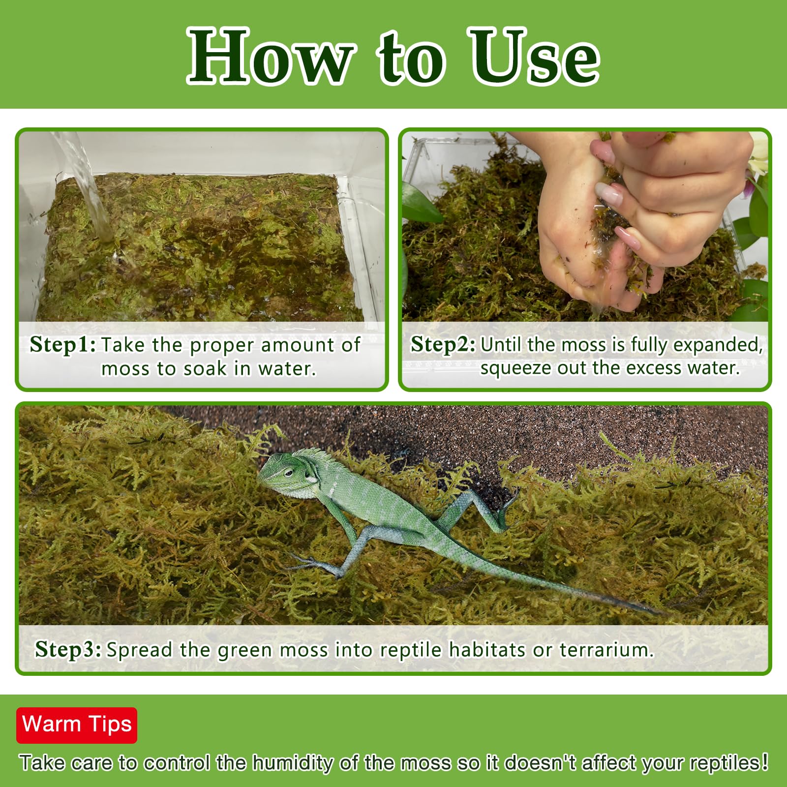 Halatool reptile moss in habitat humid hide provides comfortable shelter and humidity.