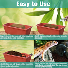 Halatool expand-to-fit terrarium bricks save space and simplify setup.