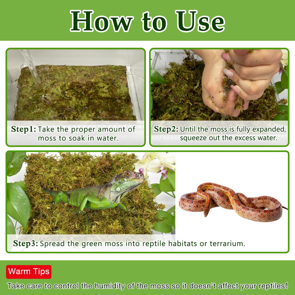 Halatool terrarium moss bed adds natural look and moisture in plant-friendly setup.