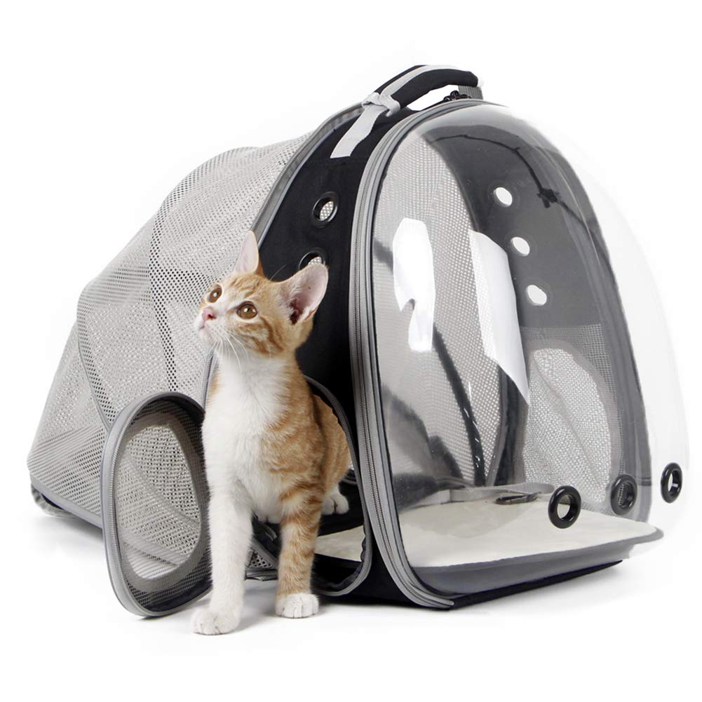 halinfer Back Expandable Cat Backpack Carrier front bubble view enhances pet visibility during travel.