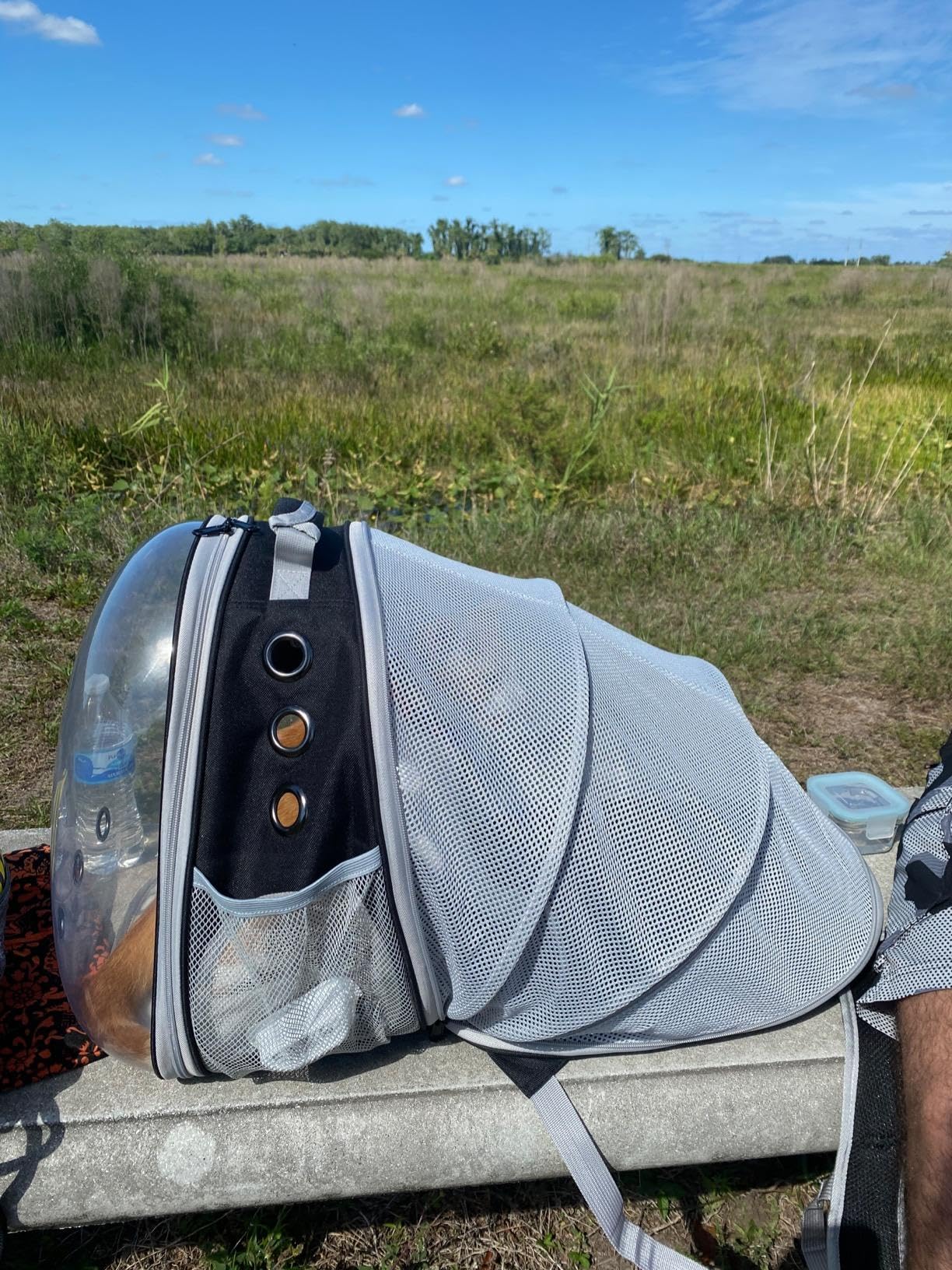 halinfer Back Expandable Cat Backpack Carrier ideal for travel and hiking with small pets.