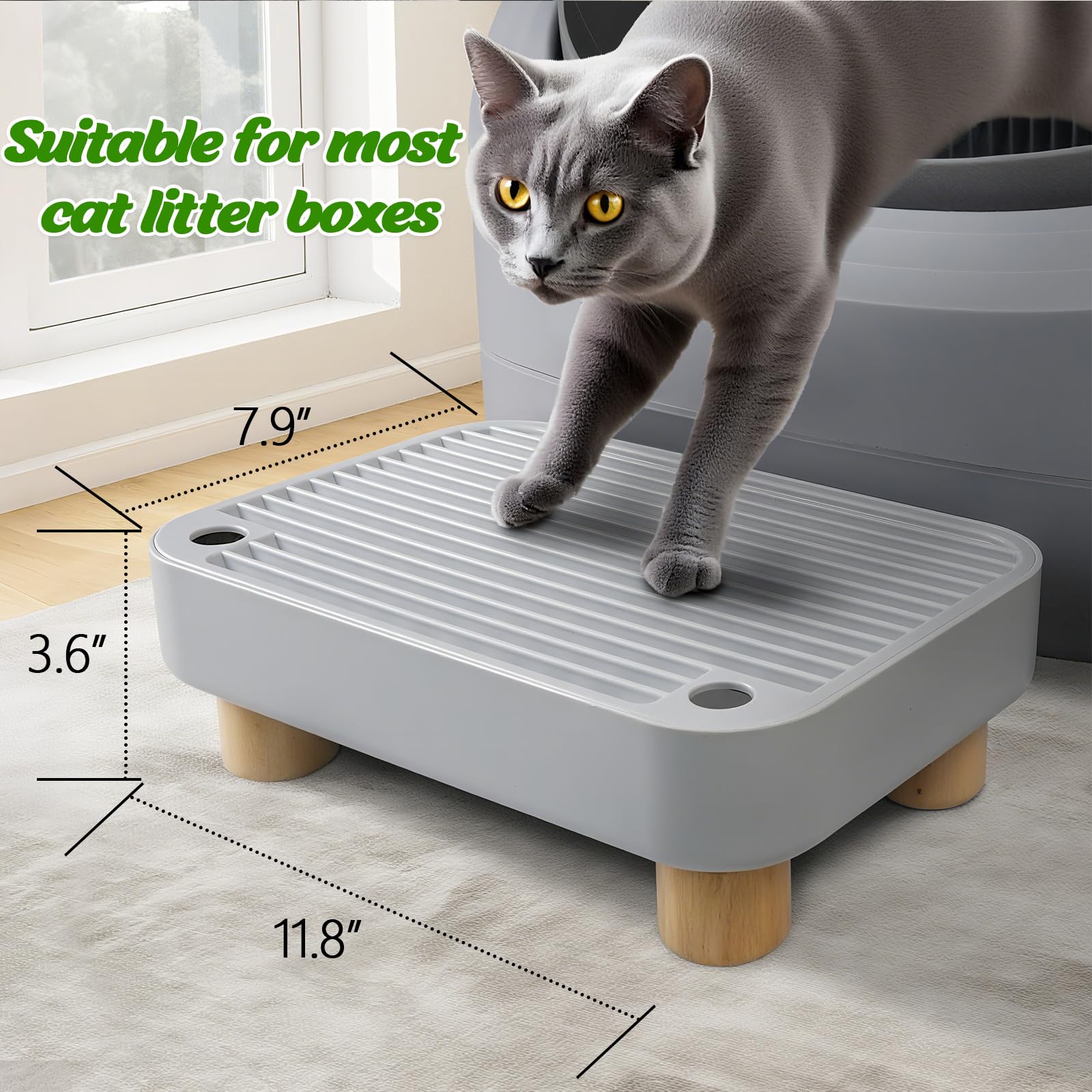 HALKYDY non-slip base provides stable, safe footing for playful cats