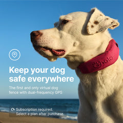 Halo Collar 4 dual-frequency GPS coverage map for accurate location.