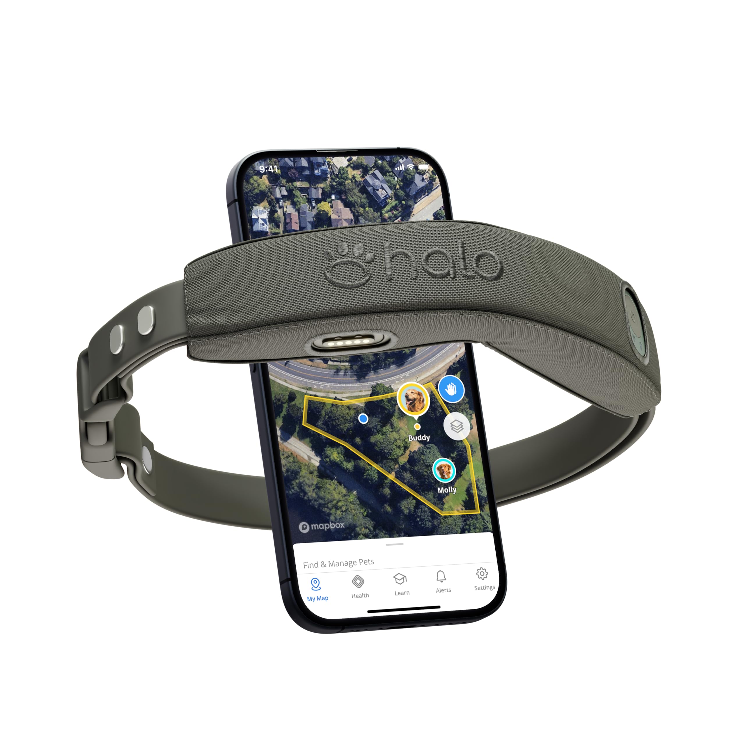 Halo Collar 4 front view in graphite, showing durable everyday wear.