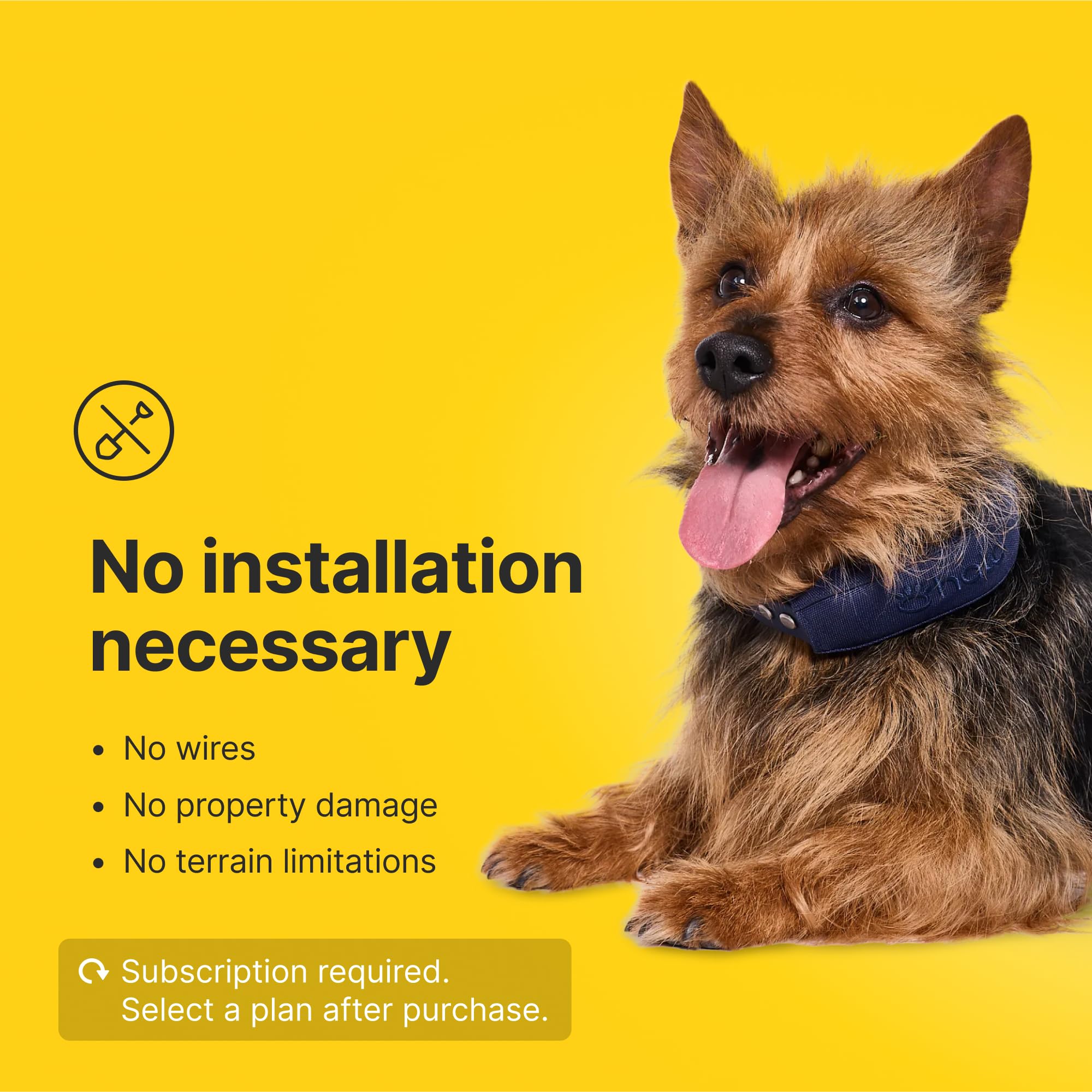 Halo Collar 4 long battery life supports all-day training and fence monitoring.