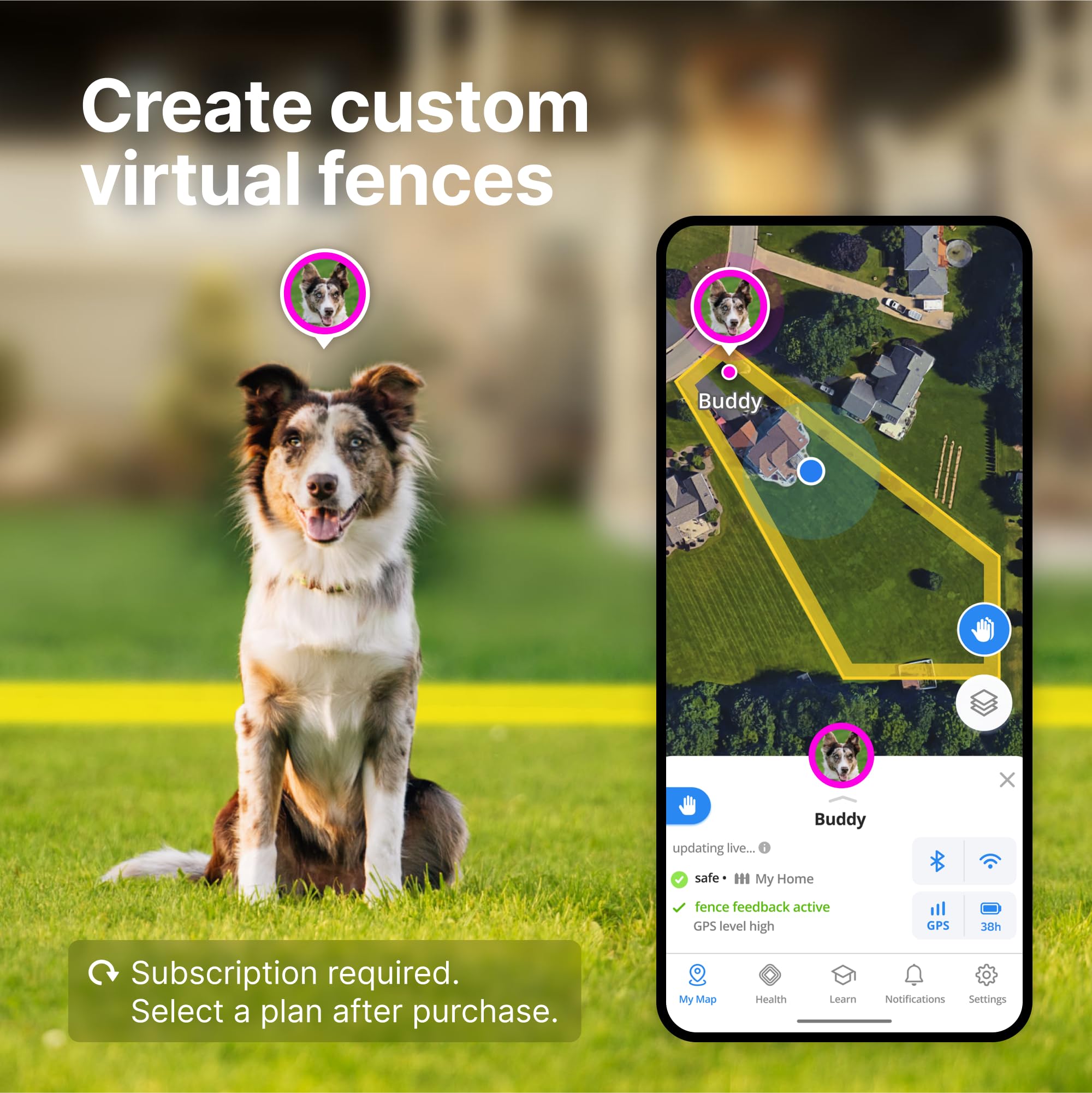 Halo Collar 4 waterproof dog collar during rain or outdoor activity.