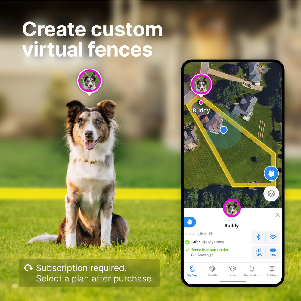Halo Collar 4 waterproof dog collar during rain or outdoor activity.
