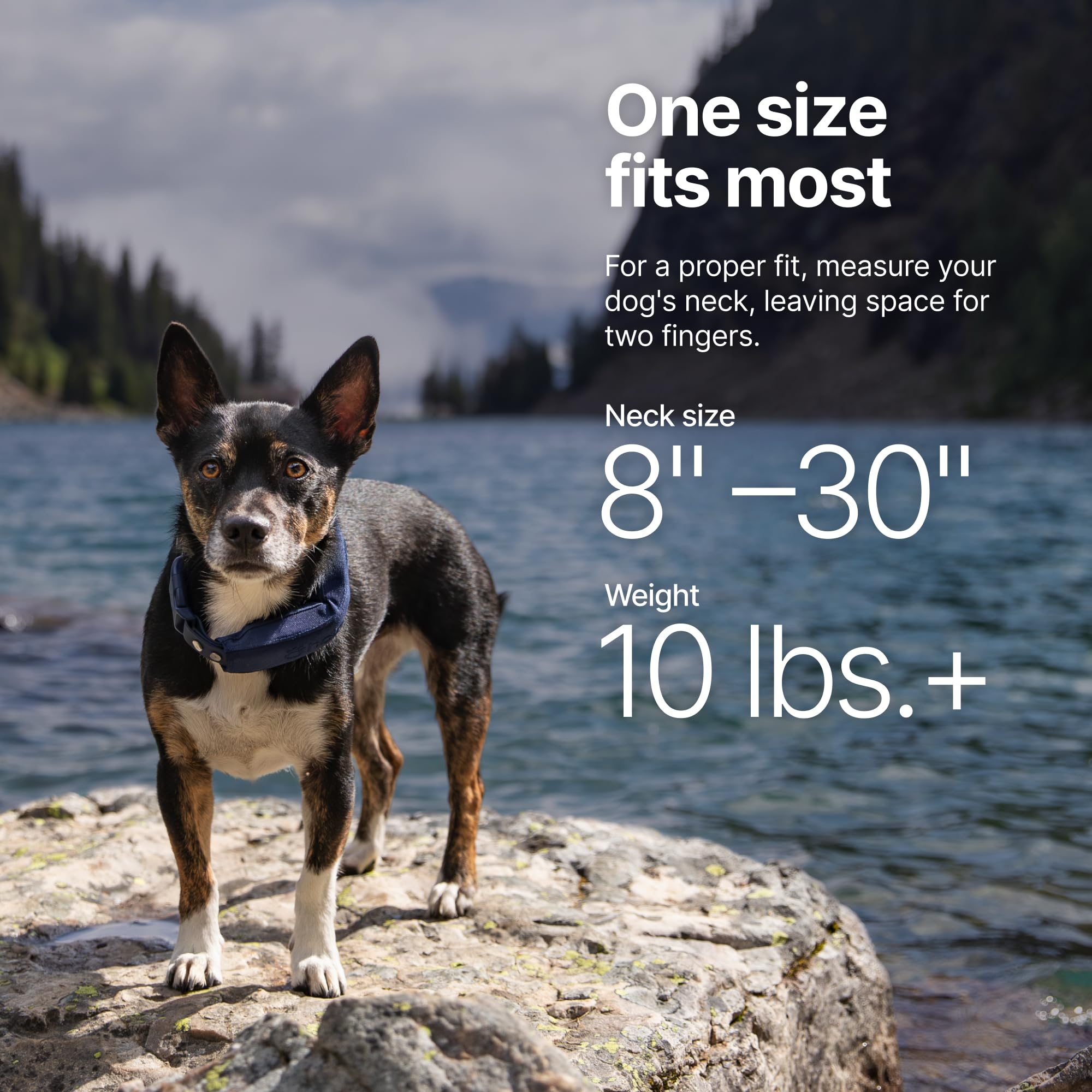 Halo Collar 5 app fences enable easy boundary creation and storage.