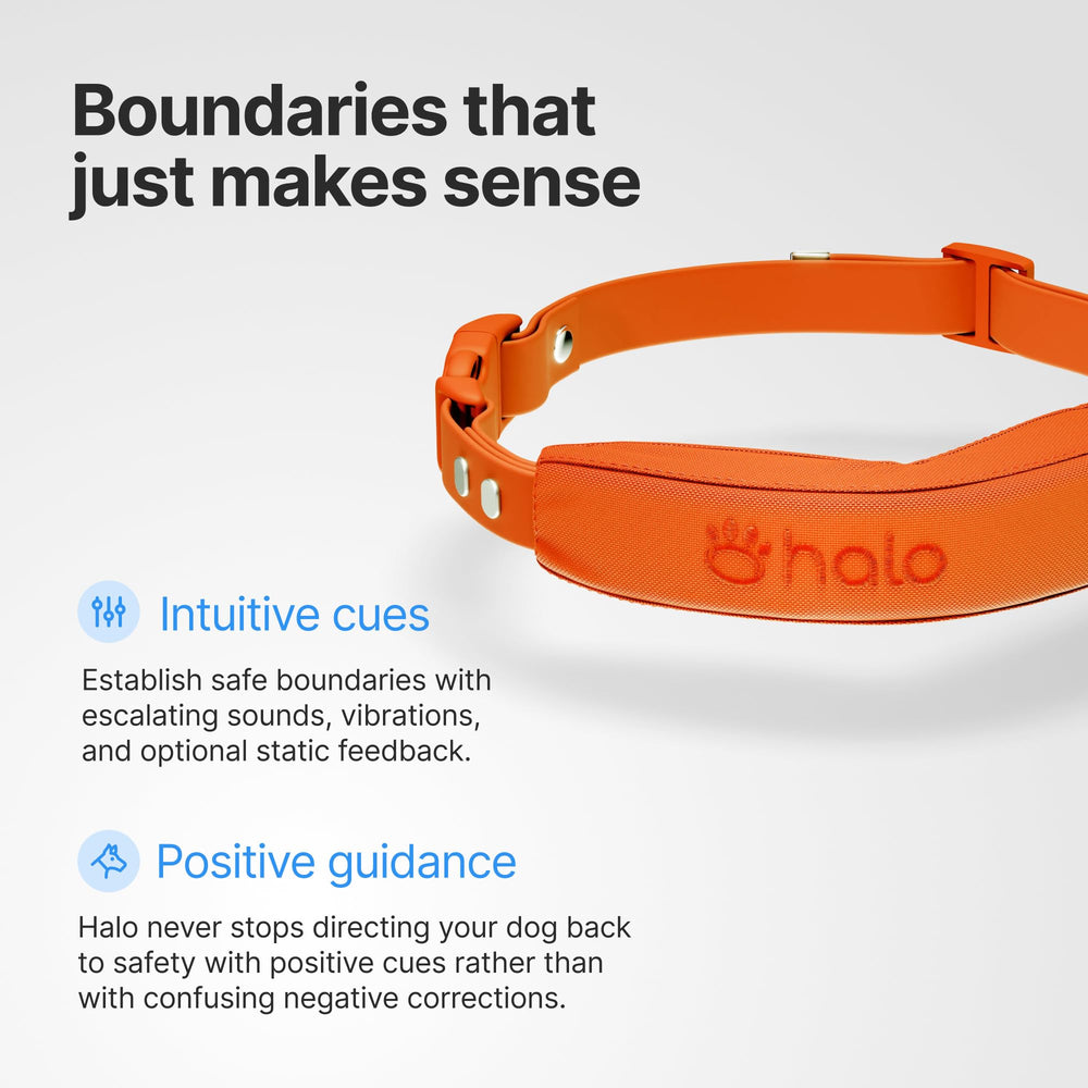 Halo Collar 5 battery life up to 48 hours with quick recharge.