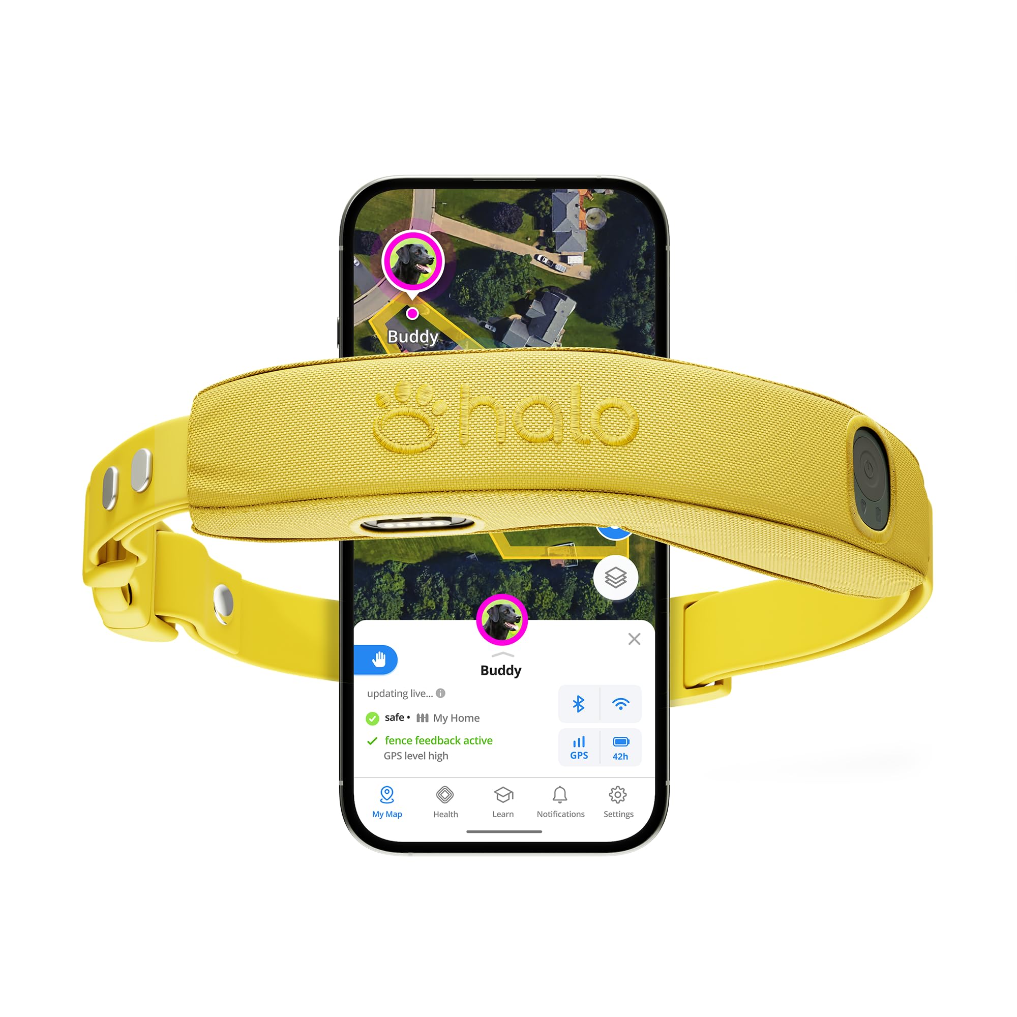 Halo Collar 5 location tracking in real time helps you monitor your dog's safety during walks.