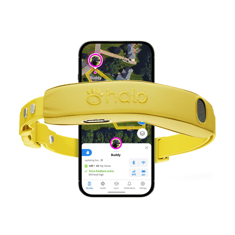 Halo Collar 5 location tracking in real time helps you monitor your dog's safety during walks.