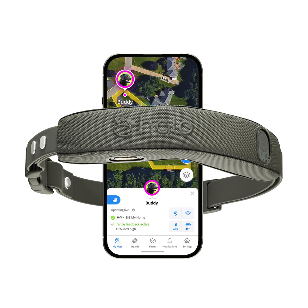 Halo Collar 5 main graphite design highlighting durable GPS fence for safer boundaries.
