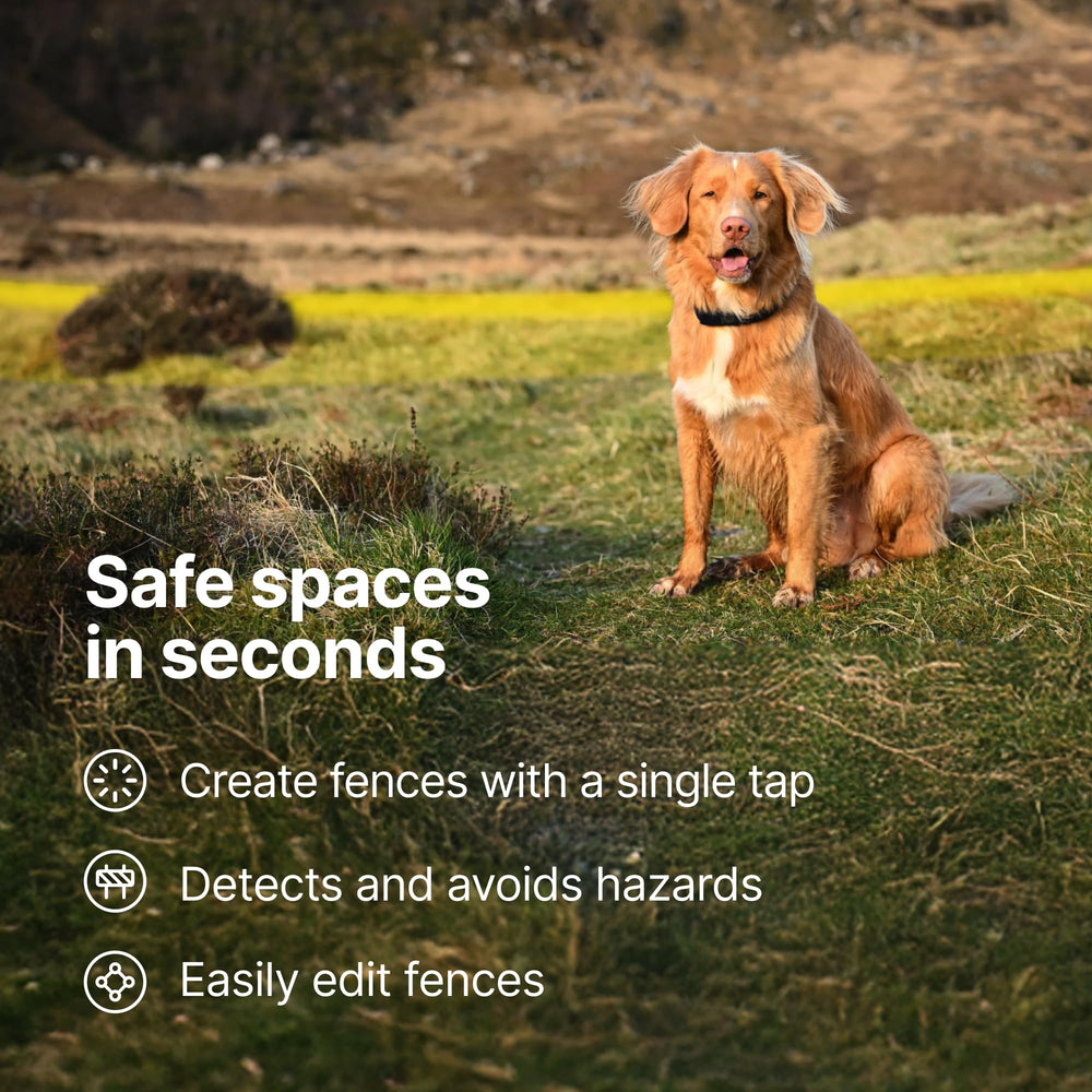 Halo Collar 5 Orchid subscription plans for GPS service options