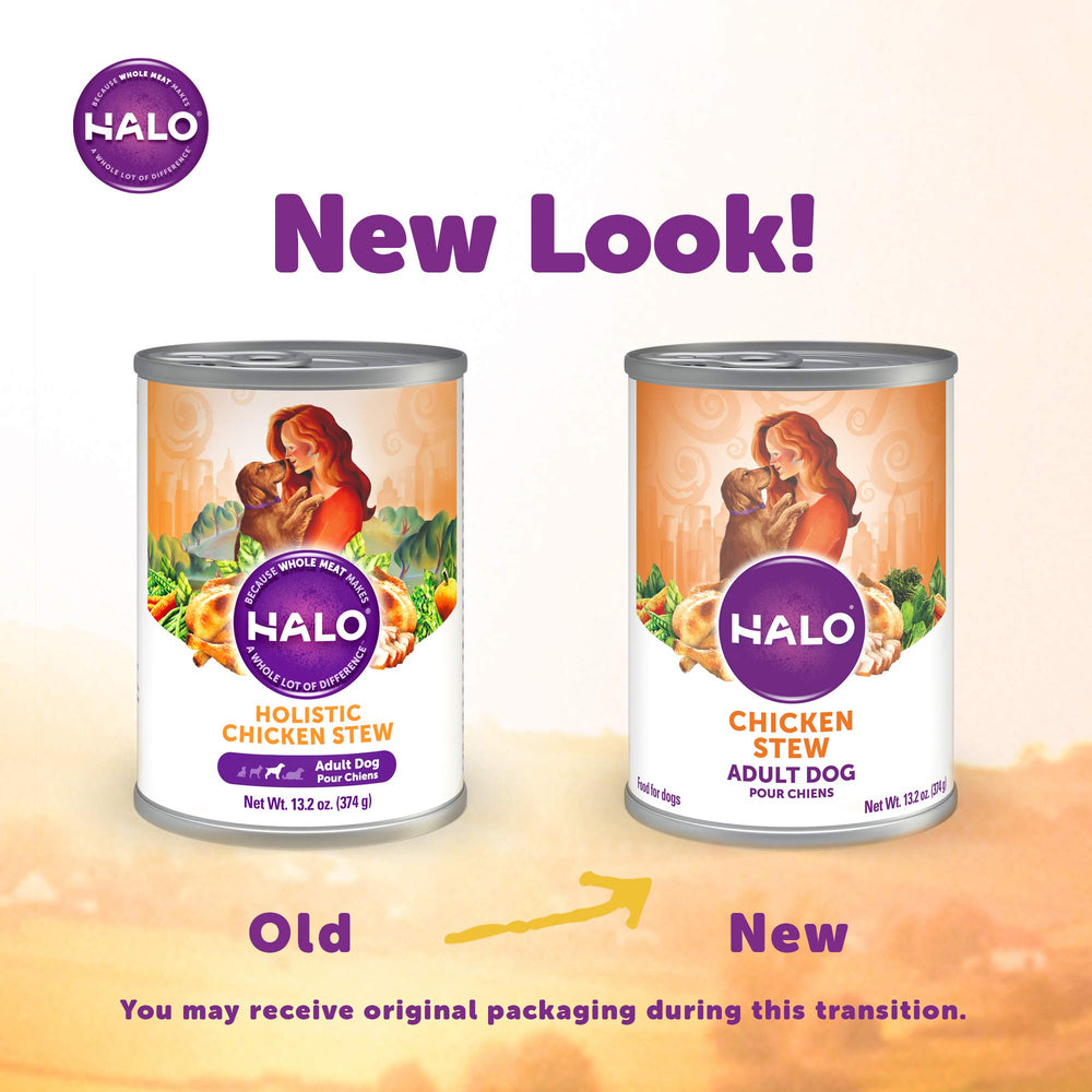 Halo Healthy Grains wet dog food served in bowl emphasizes hydration and tasty texture.