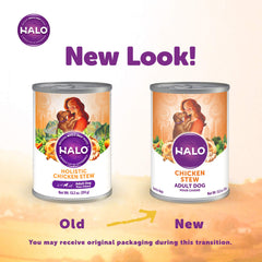 Halo Healthy Grains wet dog food served in bowl emphasizes hydration and tasty texture.
