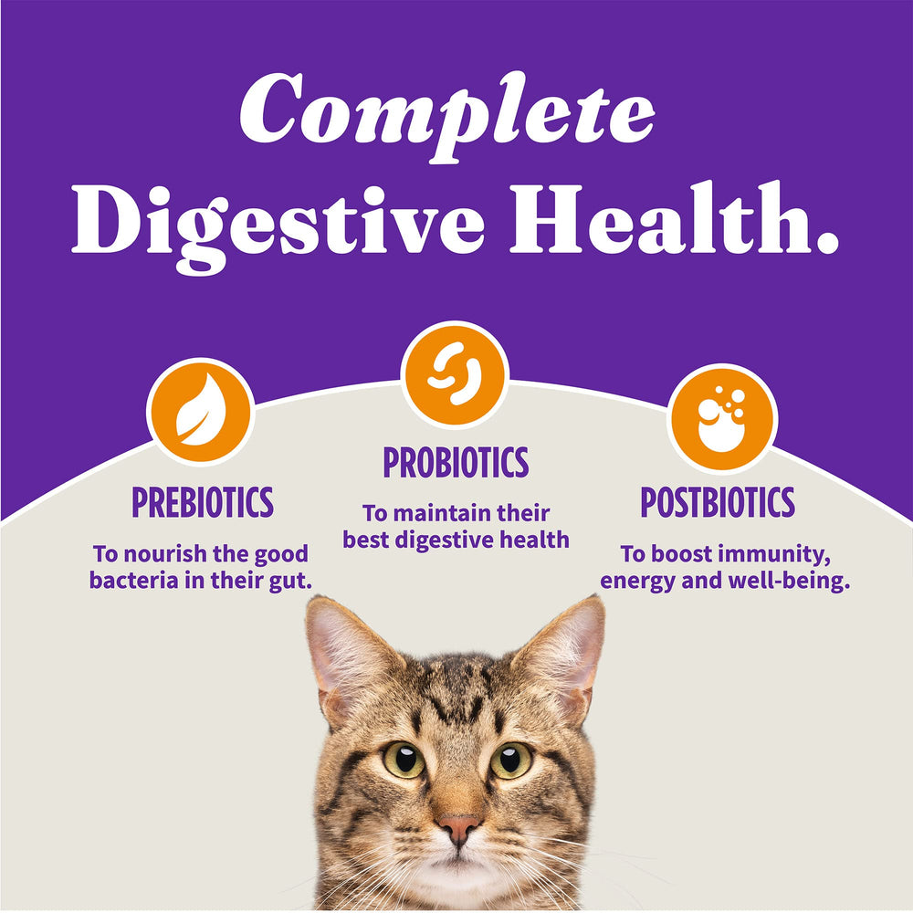 Halo Holistic Chicken Recipe glow coat with omega benefits.