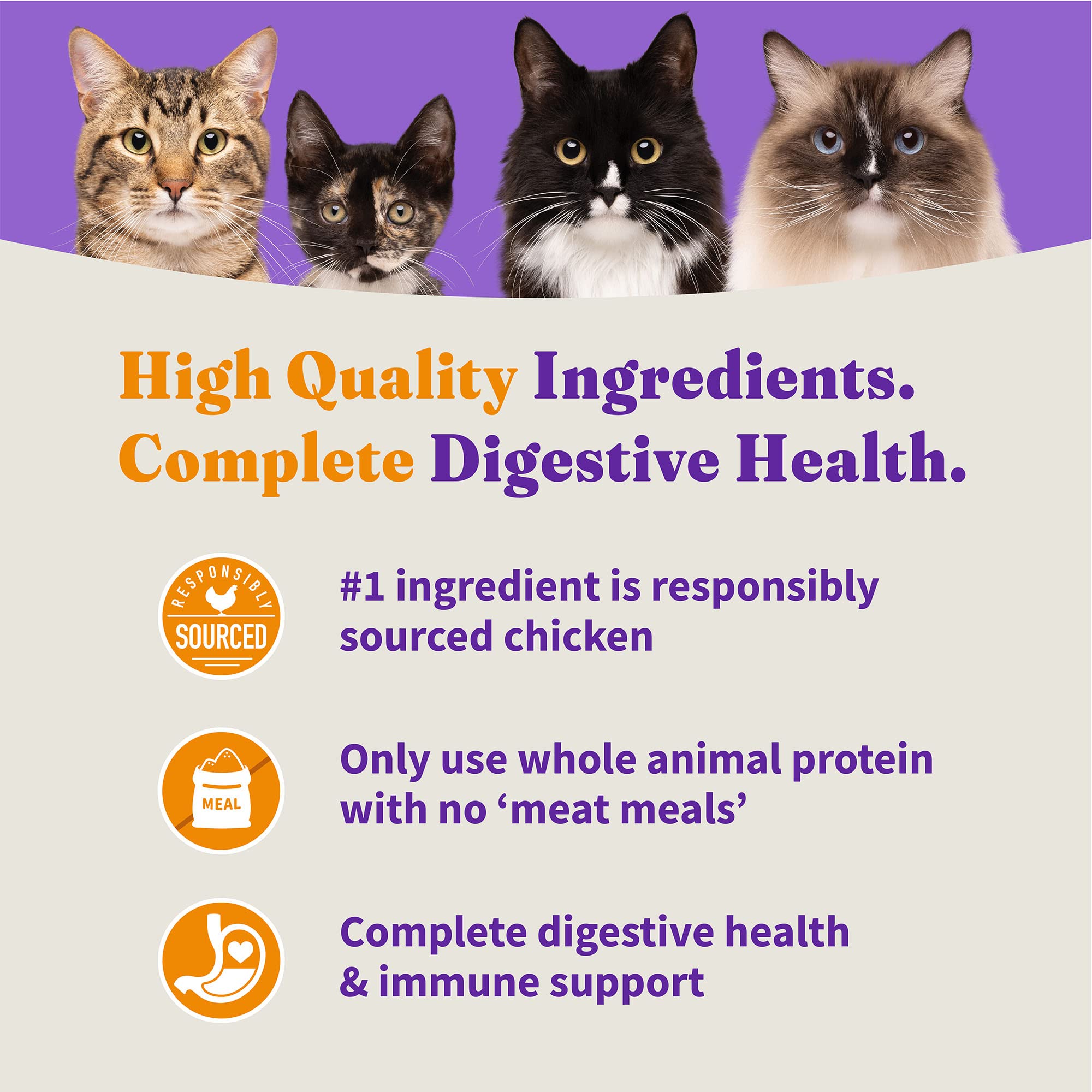 Halo Holistic Chicken Recipe label notes USA-made ingredients.