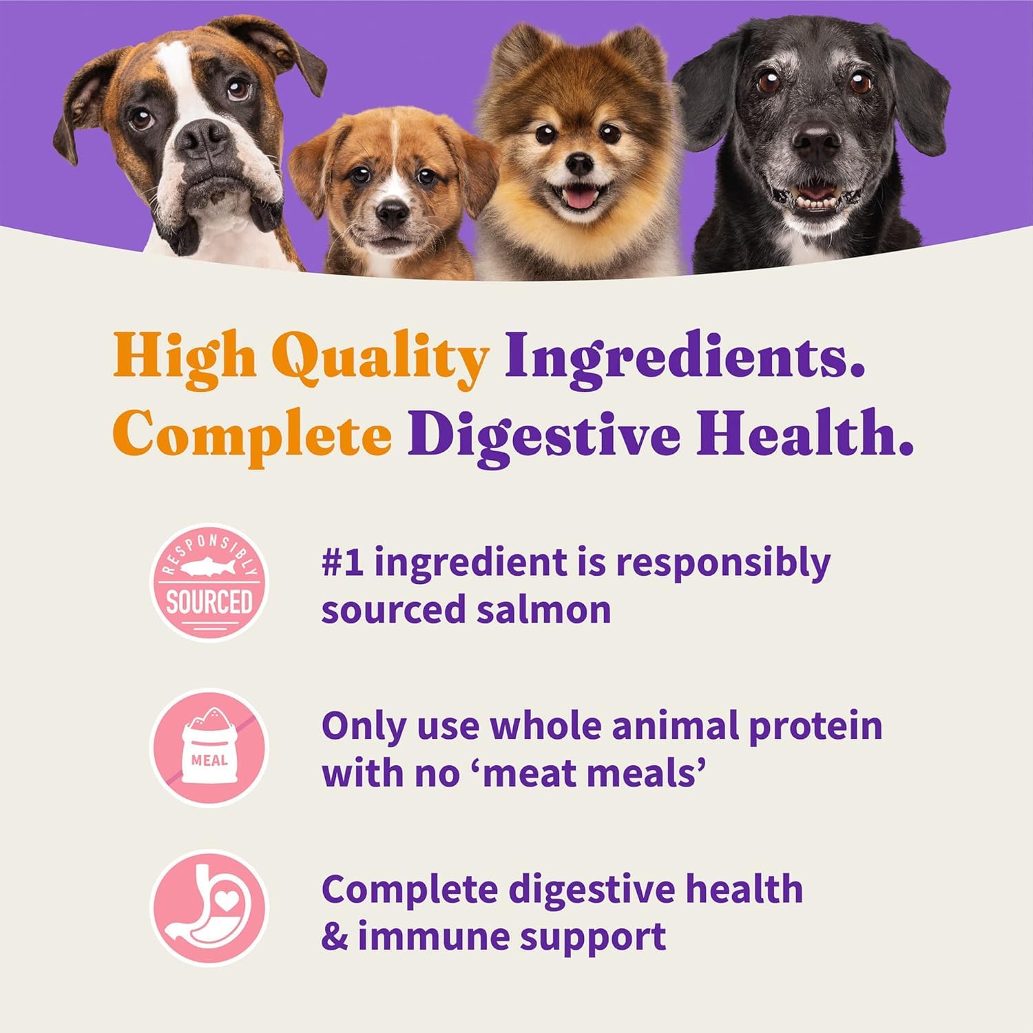 Halo Holistic prebiotics, probiotics, and postbiotics support digestion.