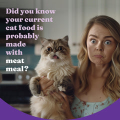 Halo Holistic kitten food DHA brain development may support cognitive growth potential