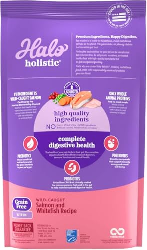 Halo Holistic kitten food kibble-closeup-salmon highlights real salmon as first ingredient