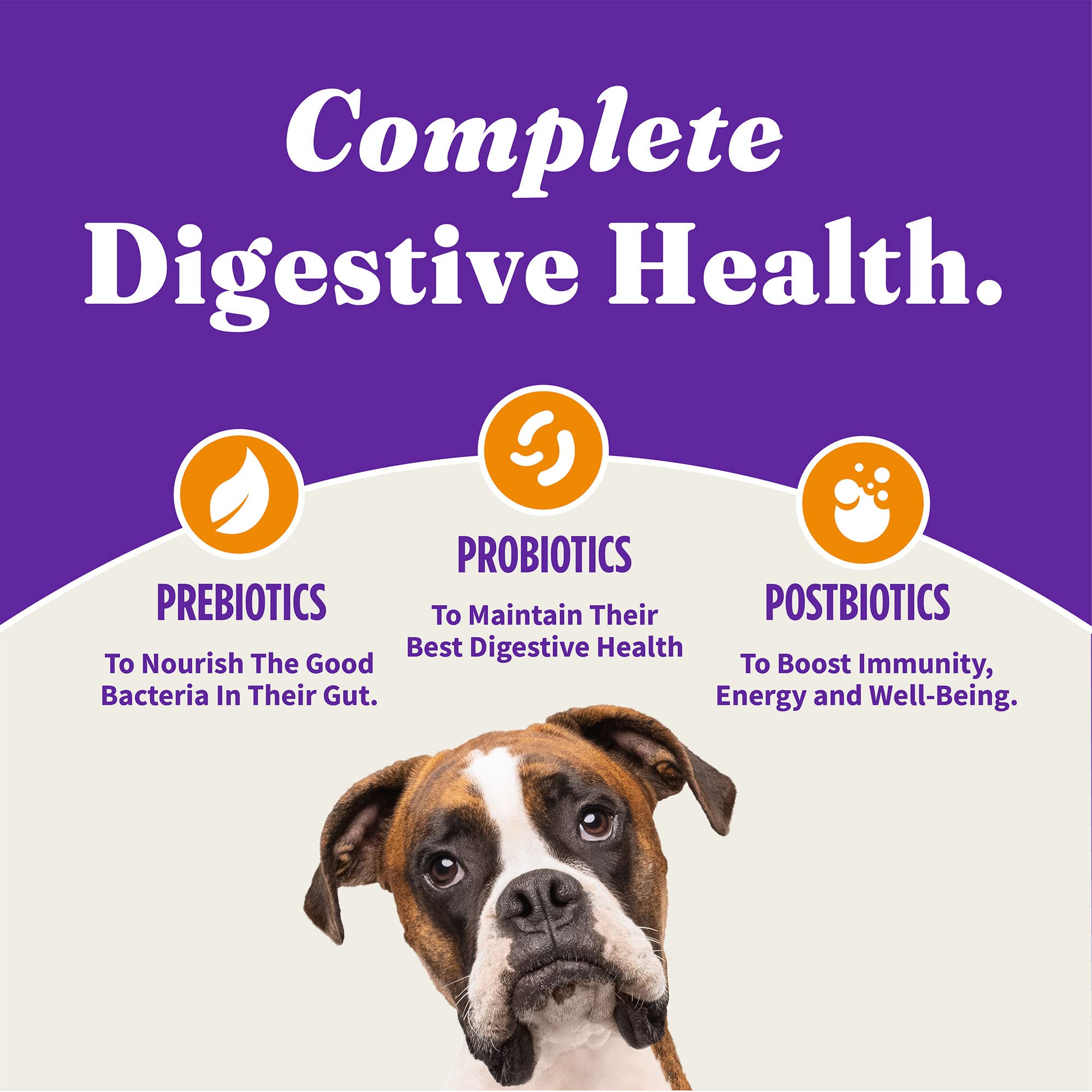 Halo Holistic prebiotics probiotics and postbiotics support digestion