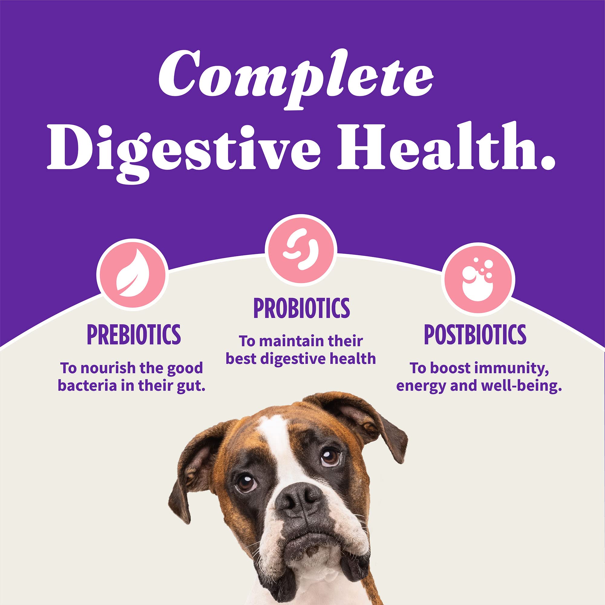 Halo Holistic serving dish with kibble suggests easy daily feeding for adult dogs.