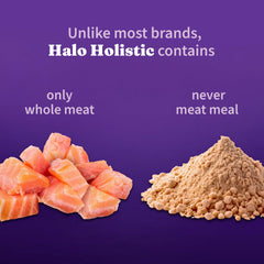 Halo Holistic small-breed kibble is higher protein for energy in tiny pets.